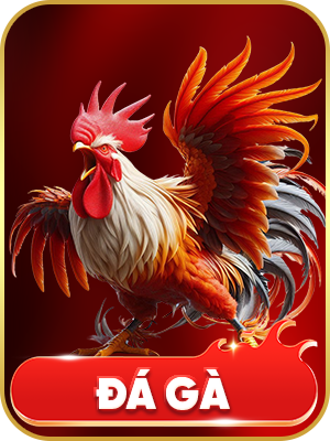 đá gà 88GO