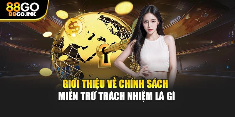 Giới thiệu về chính sách miễn trừ trách nhiệm là gì