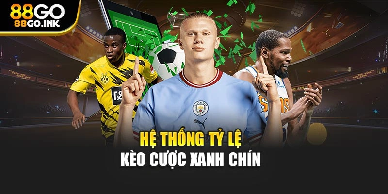Hệ thống tỷ lệ kèo cược xanh chín